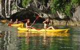 Grayline Cruise - Kayaking Activity