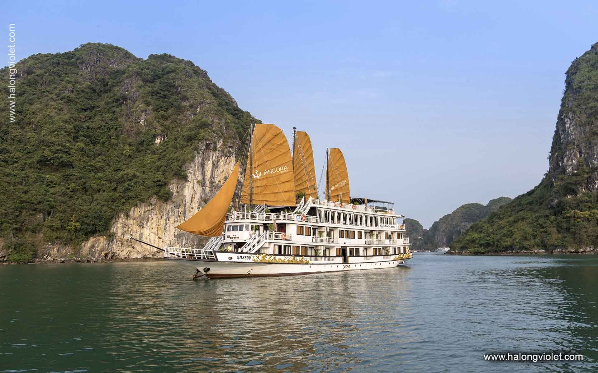 Ancora Cruise