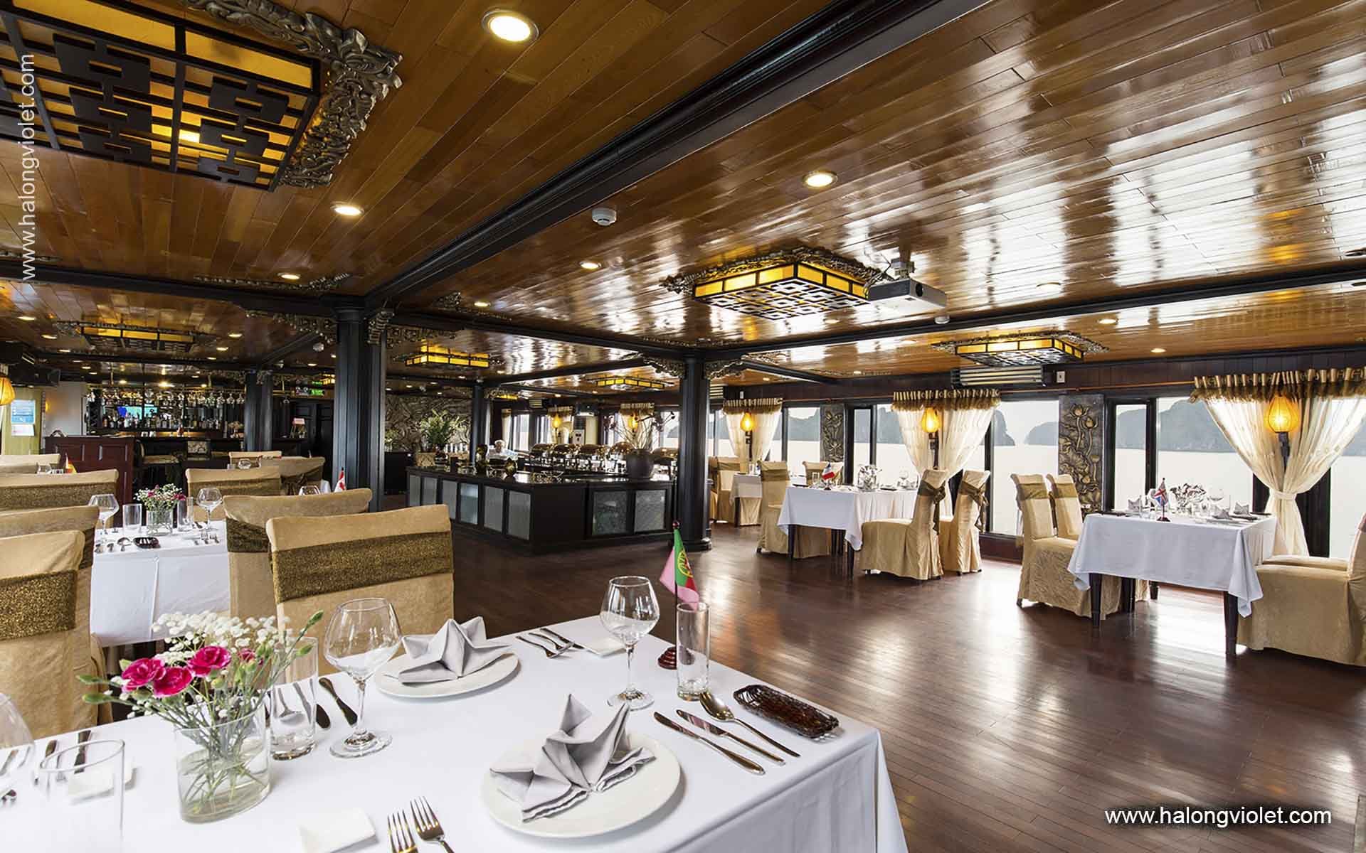 Ancora Cruise