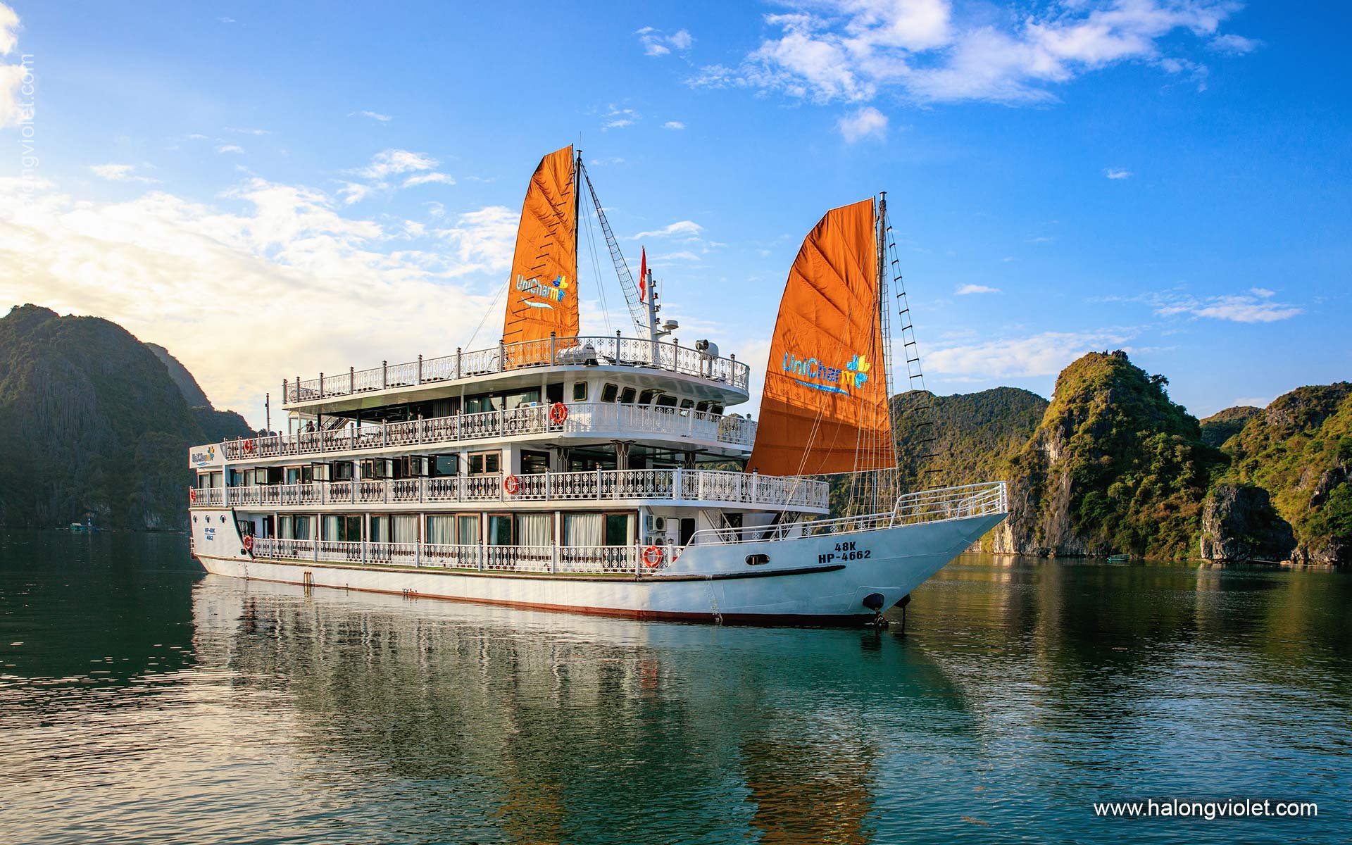 UniCharm Cruise