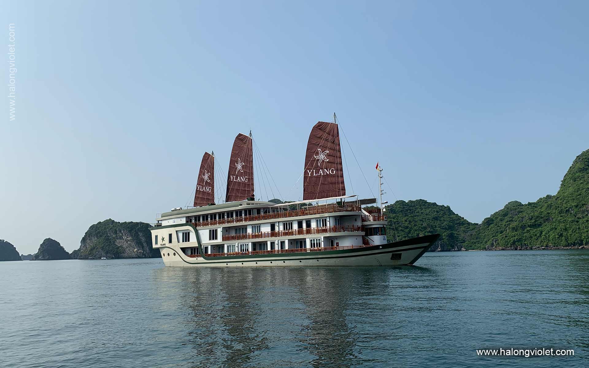 Ylang Cruise 10 Cabins