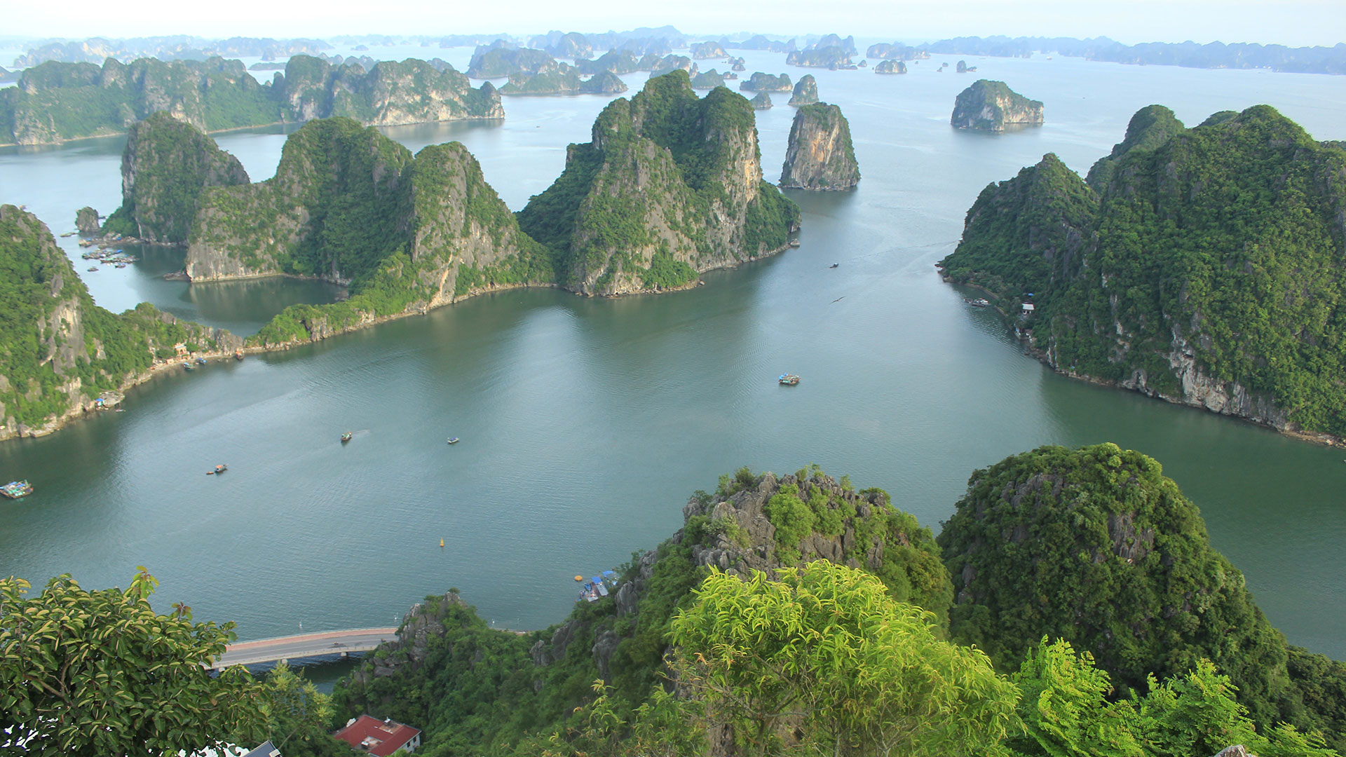 Panoramic view of Halong Bay's karst landscape and blue waters