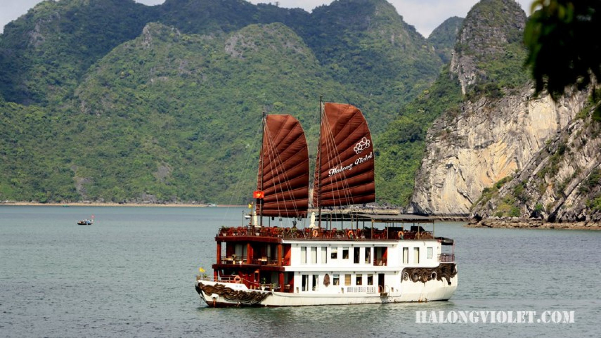 Heritage Line Violet Cruise