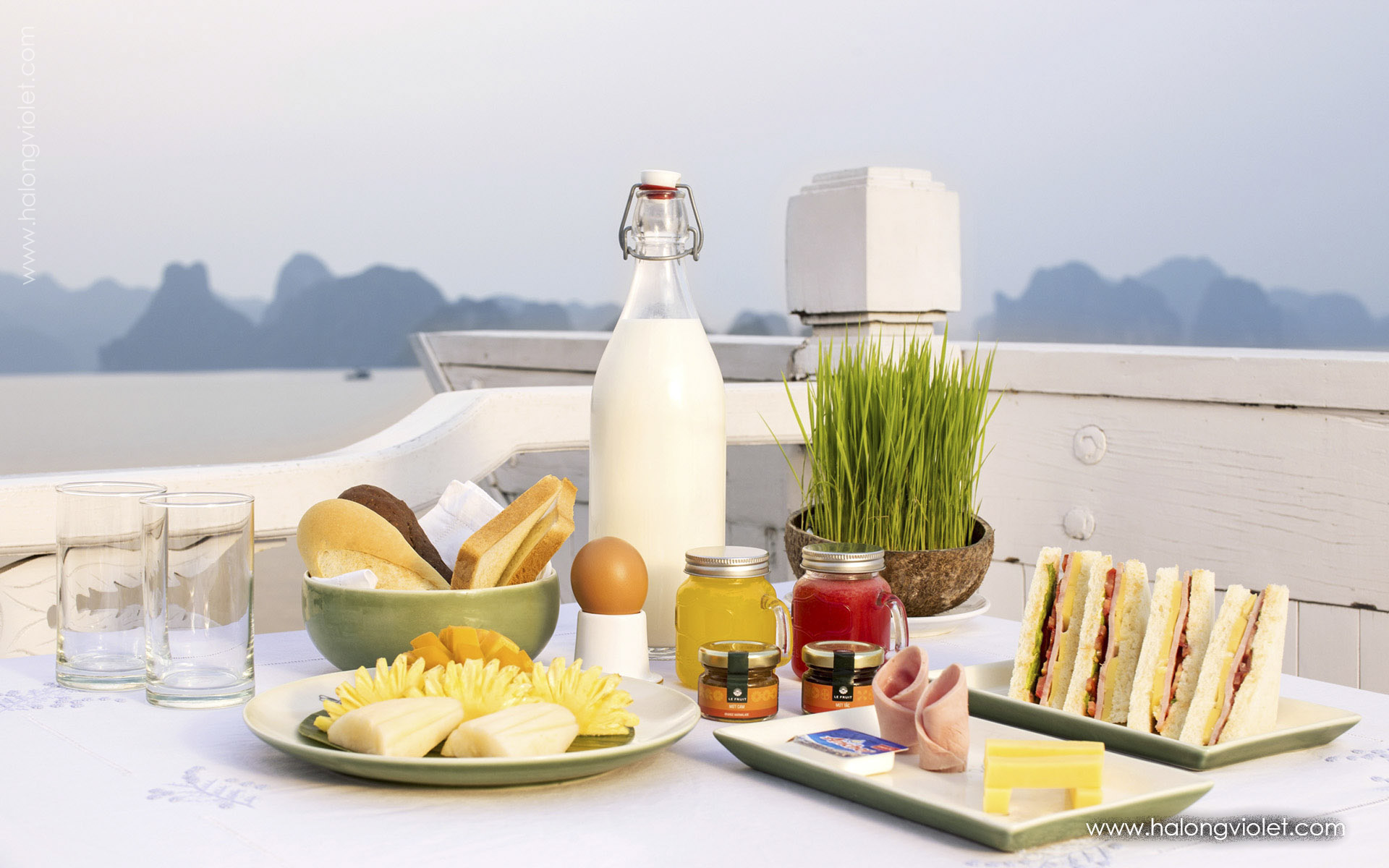 Aphrodite Cruises