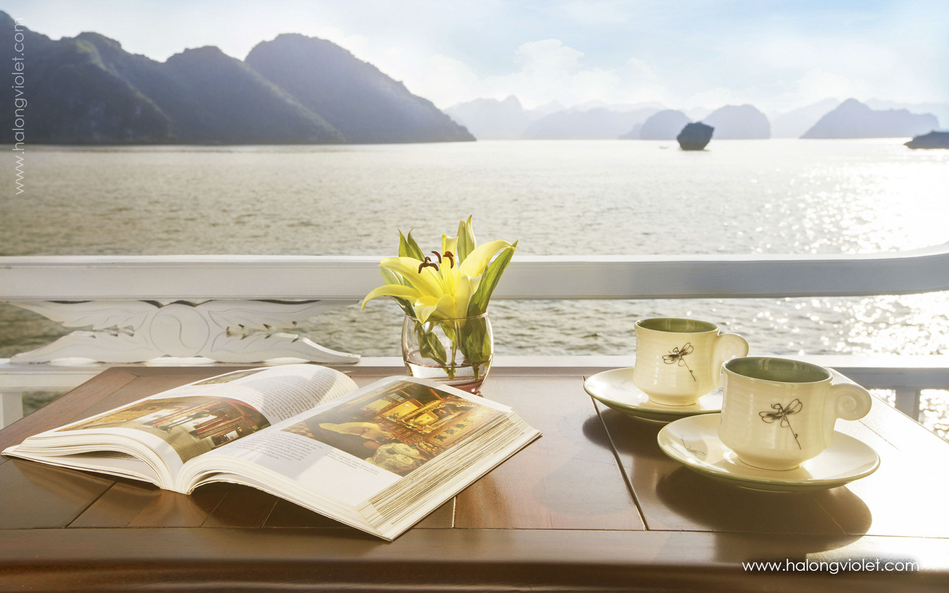 Aphrodite Cruises