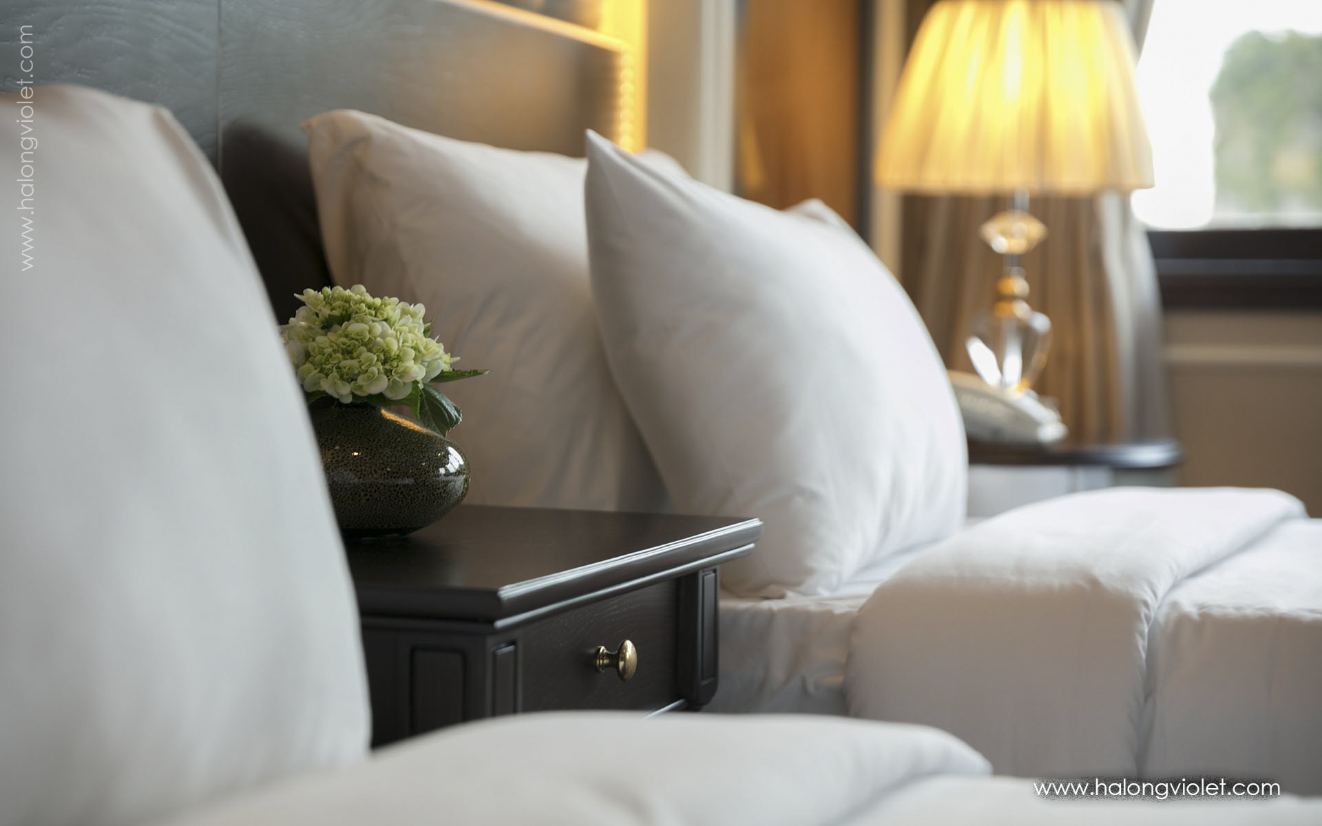 Athena Luxury Cruise