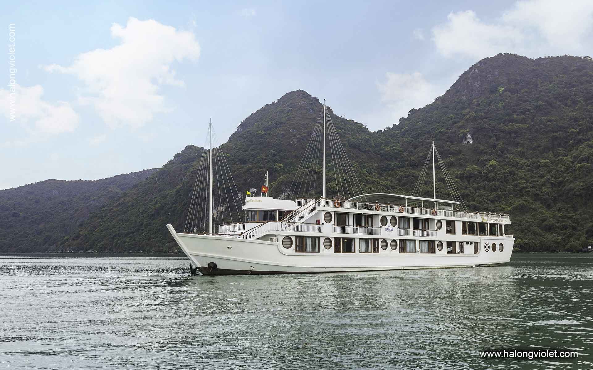 Calypso Cruise