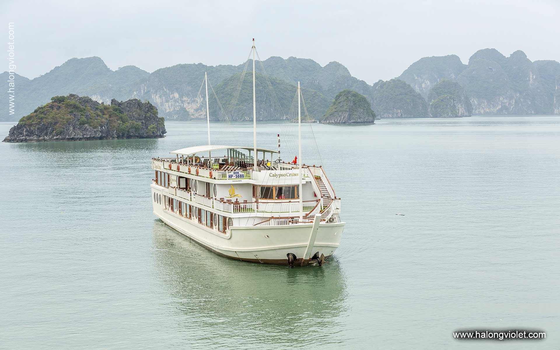 Calypso Cruise