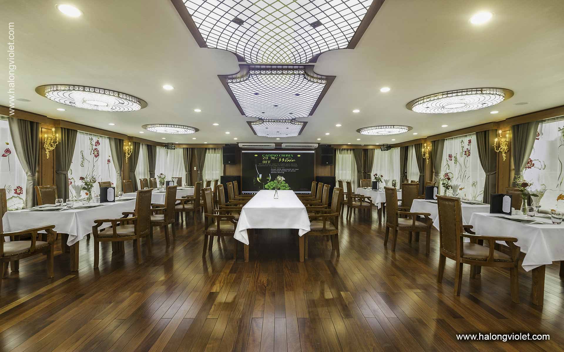 Calypso Cruise