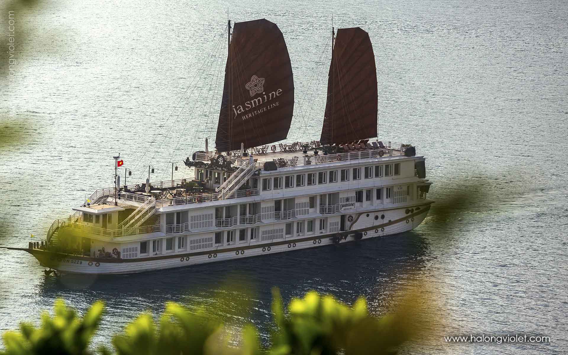 Heritage Line Jasmine