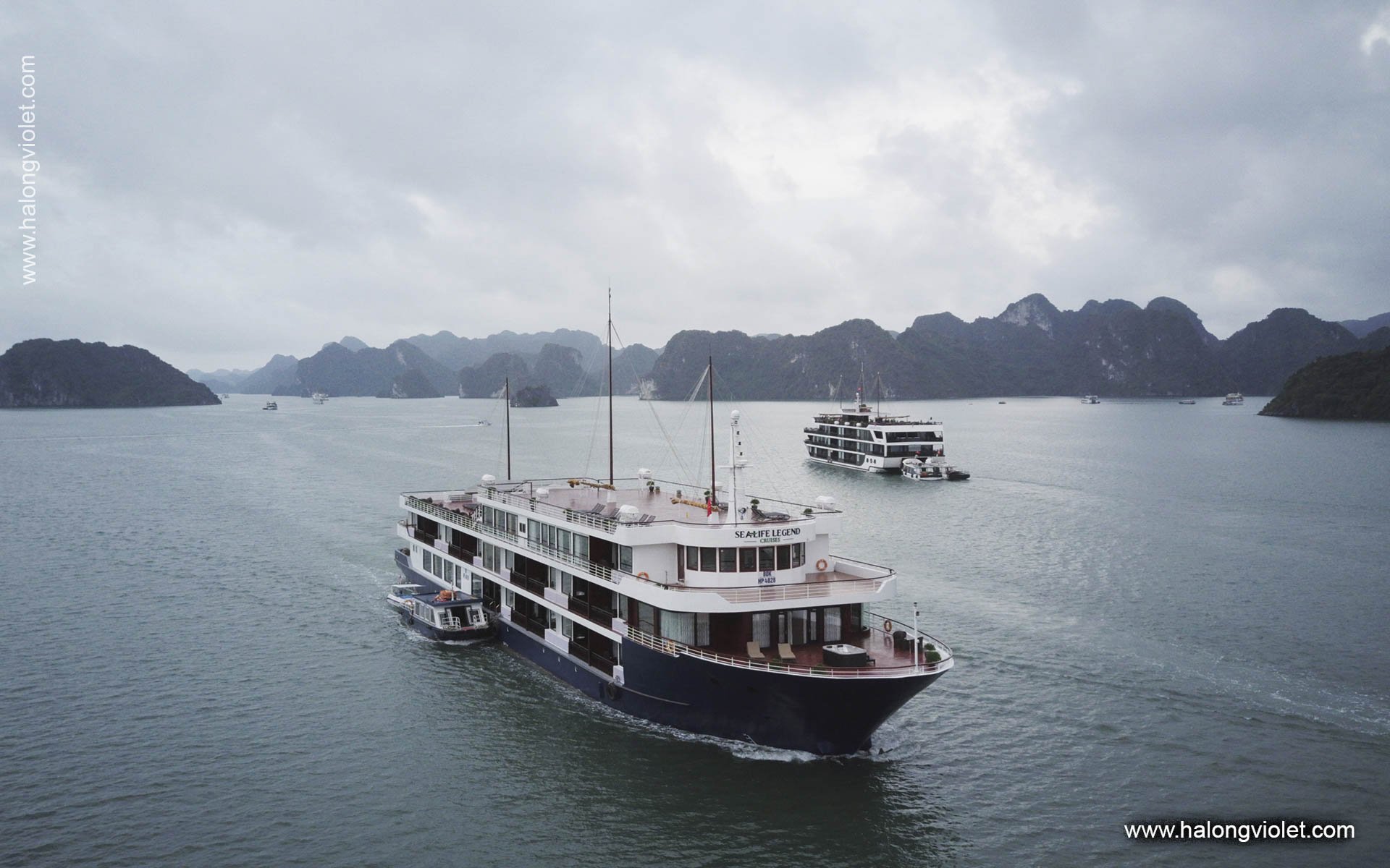 Sealife Legend Cruise