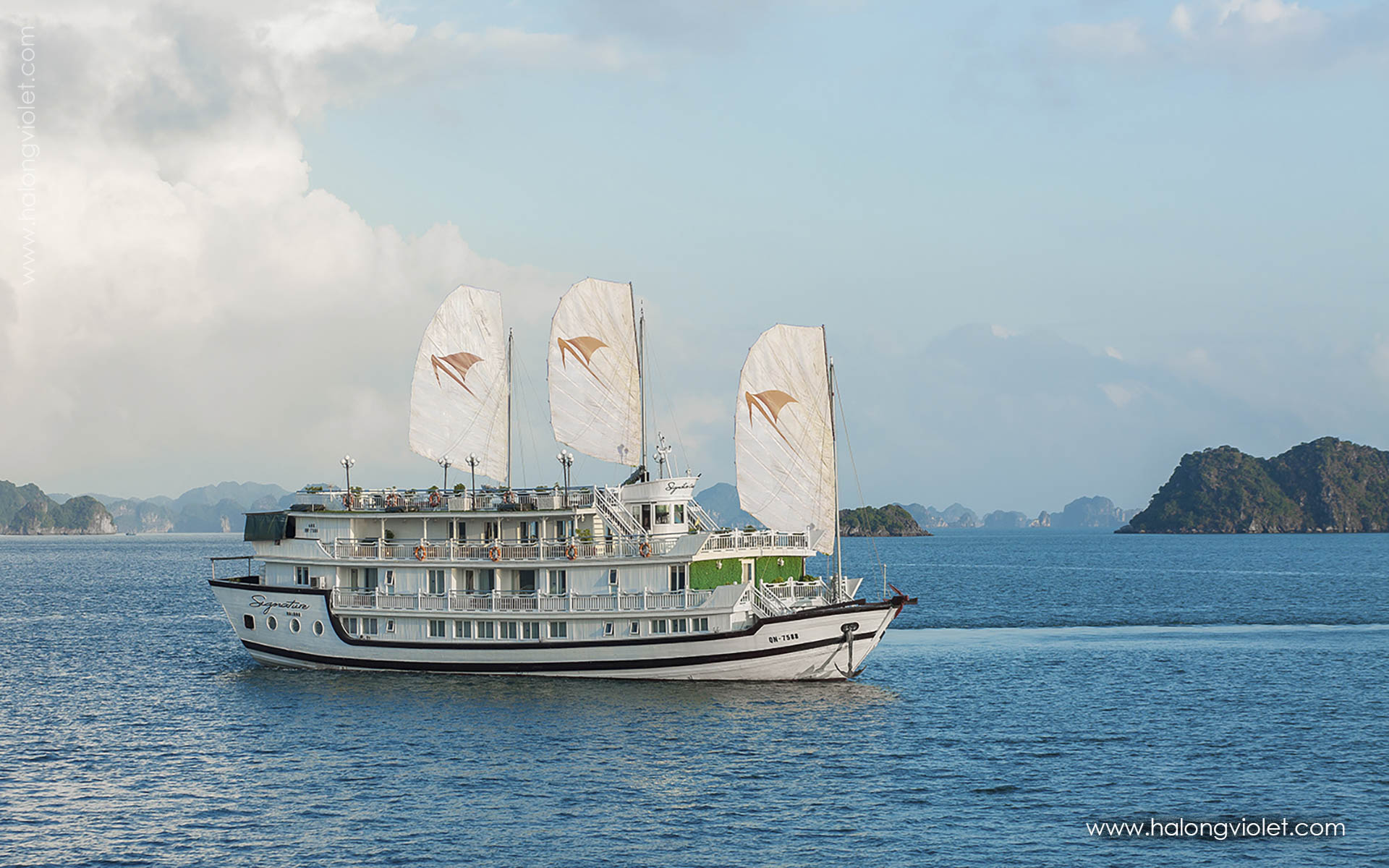 Signature Cruise