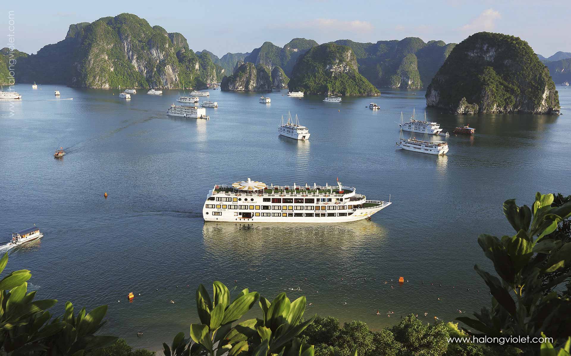 Starlight Cruises