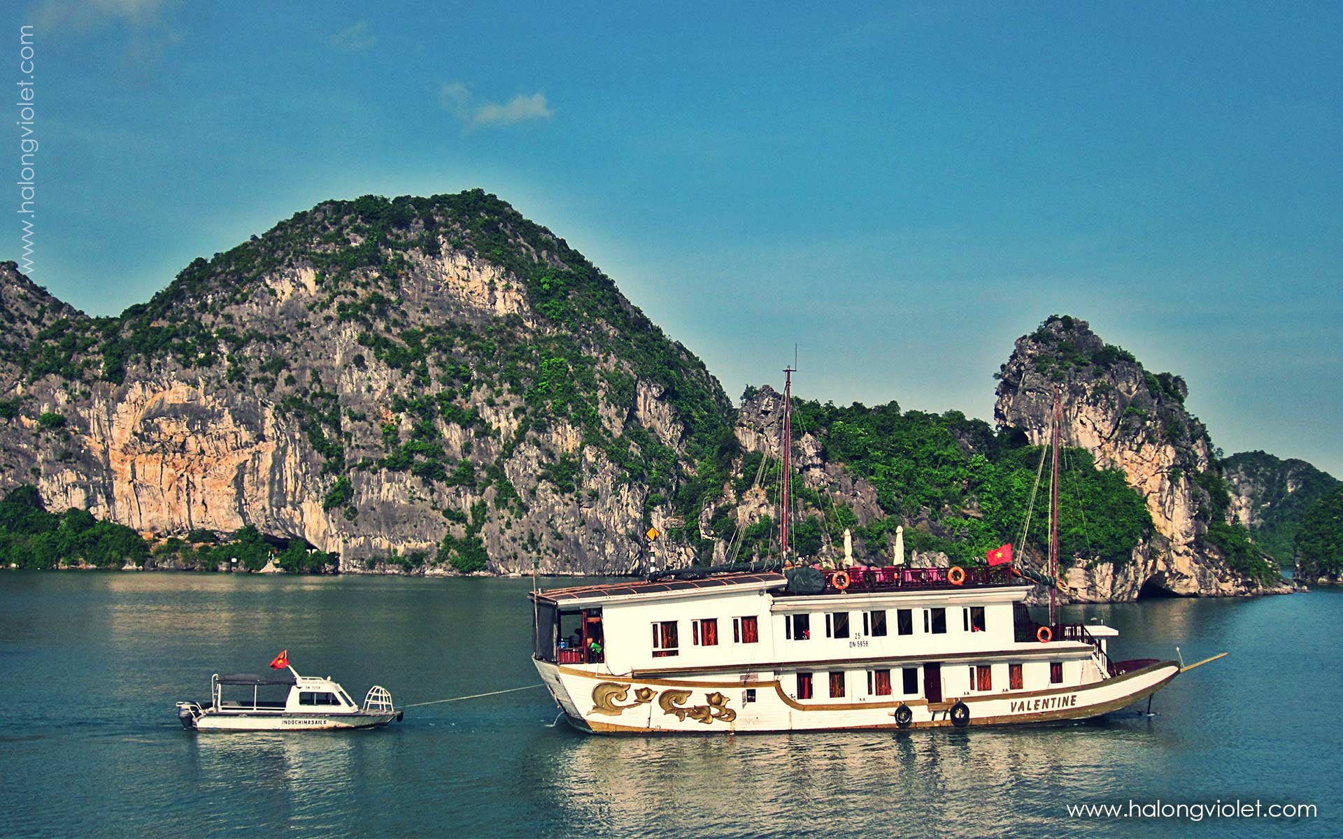Valentine Cruises