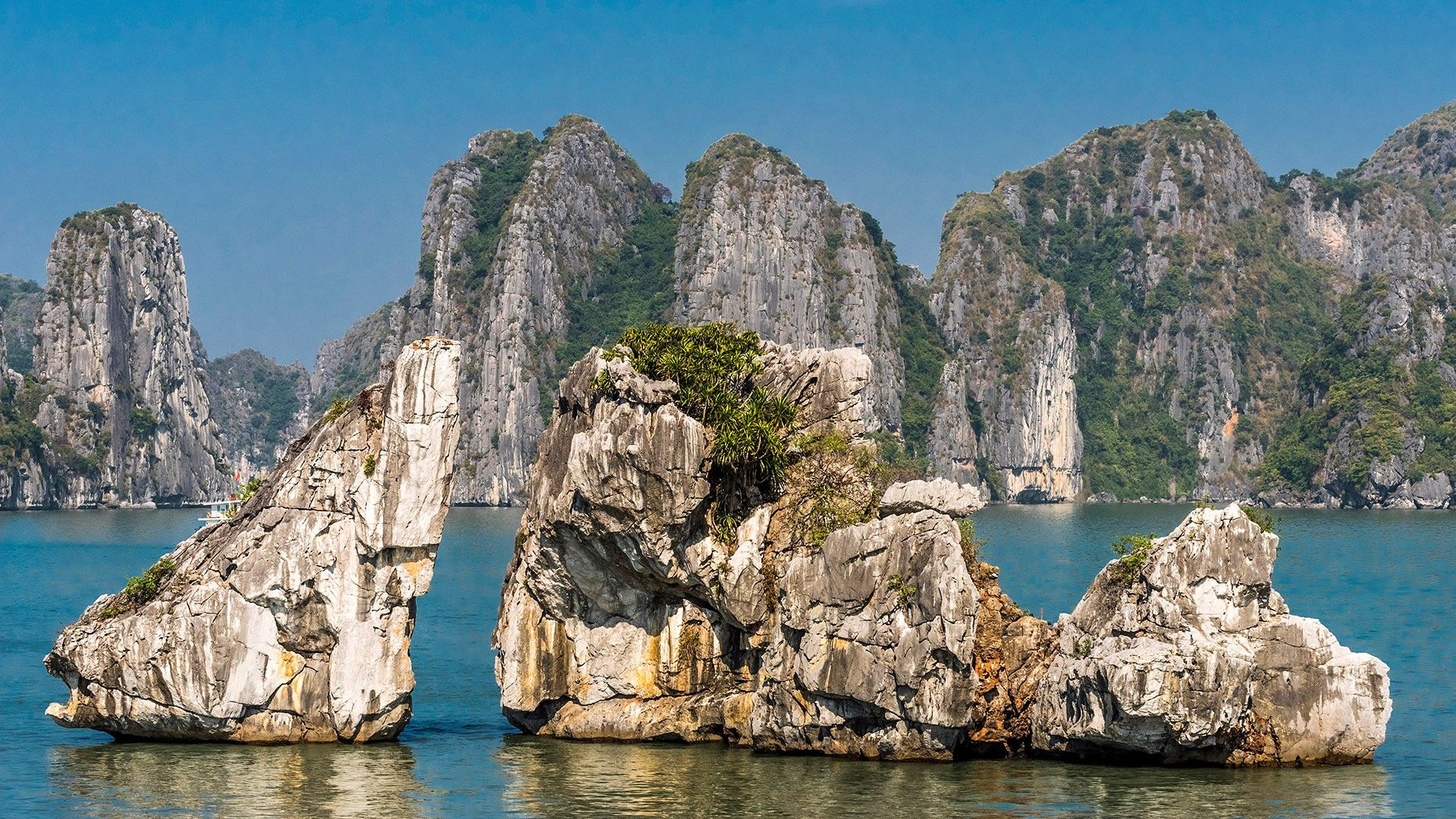 Close-up of limestone pillars in Ha Long Bay