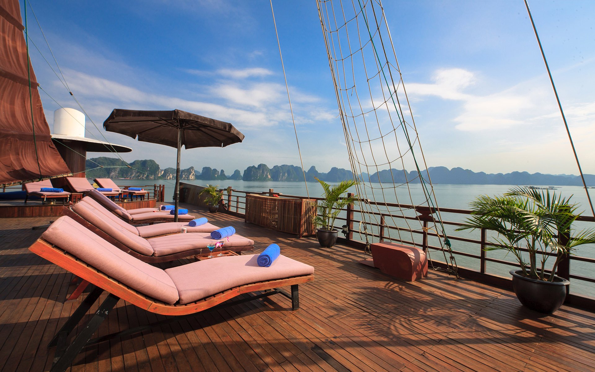 Pelican Cruise