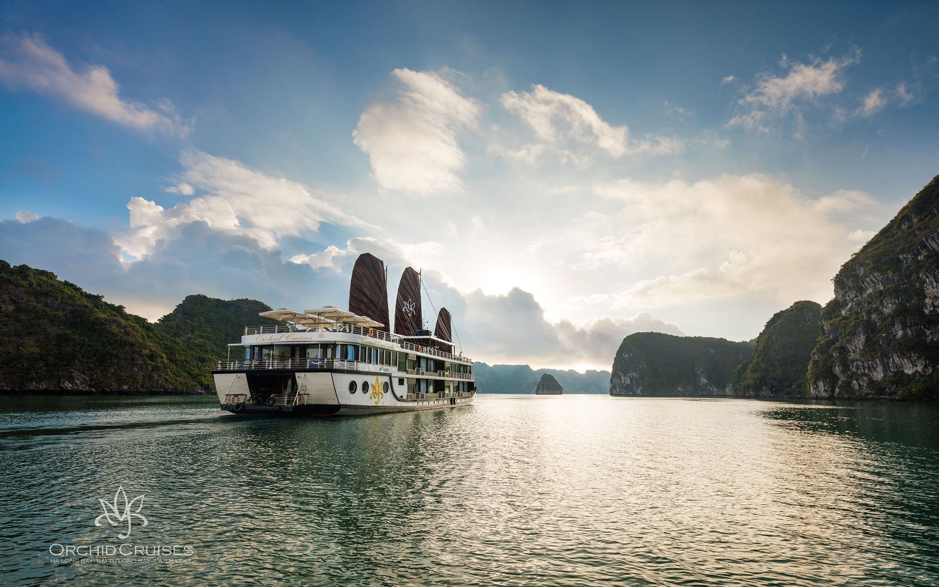 Orchid Cruises