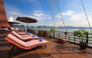 Pelican Cruise